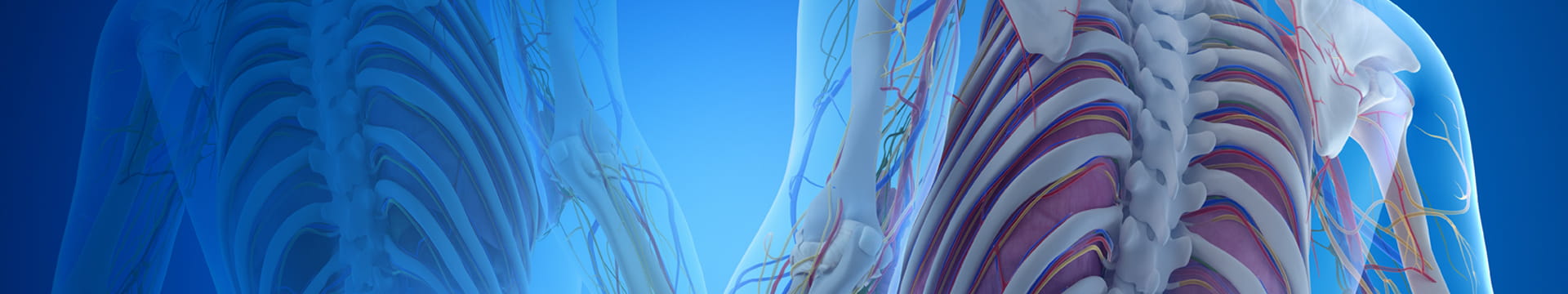 spine-mid-page-1920x360-v2