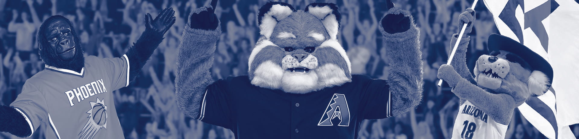 Sports_Medicine_Partnership_Hero