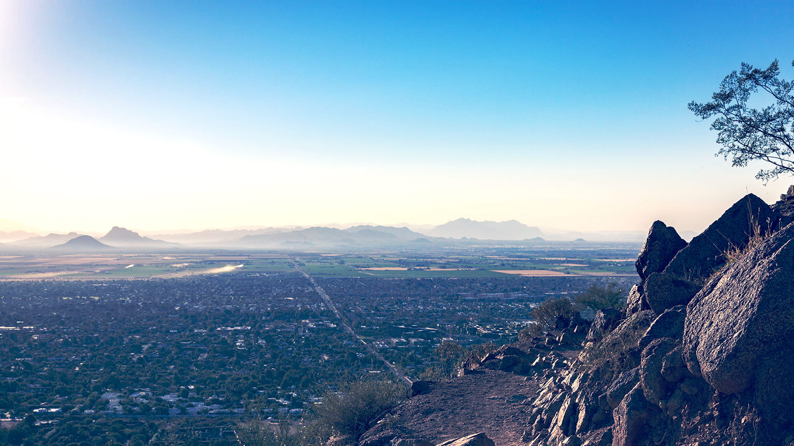 Banner_Phoenix_16x9