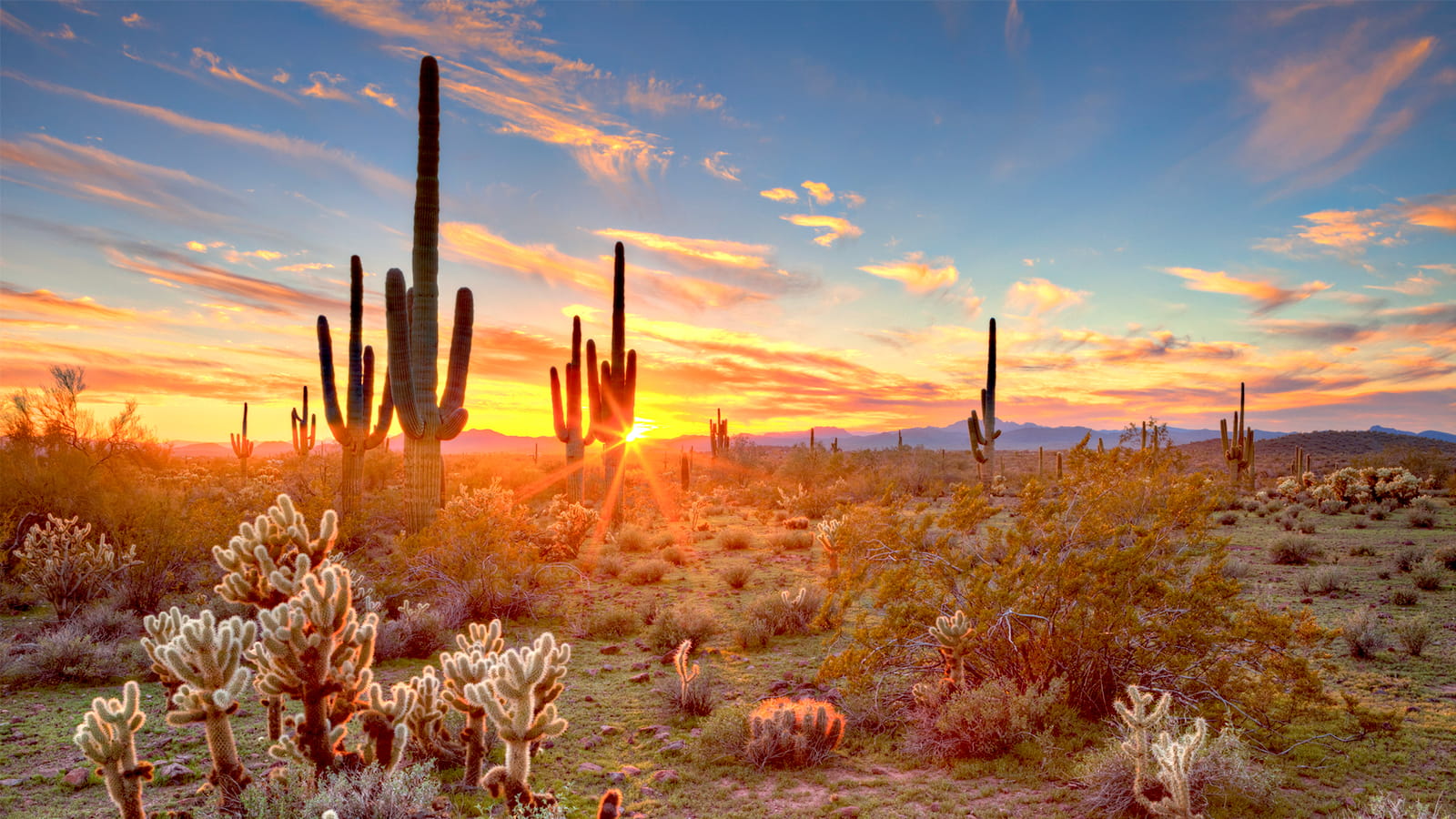 Banner_Tucson_16x9